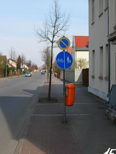 09_Seehausen Baeumchen a