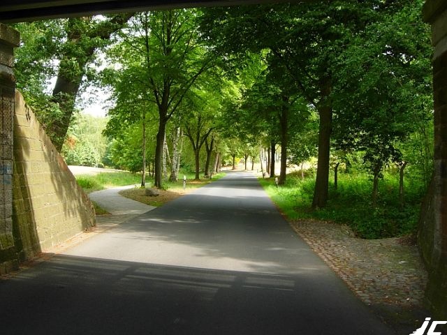 10_Bodenteich_03
