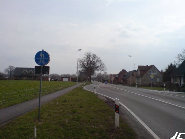 11_Püsselbüren
