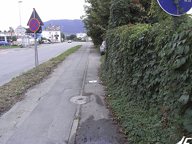 Metz_09