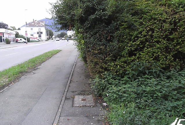 Metz_11