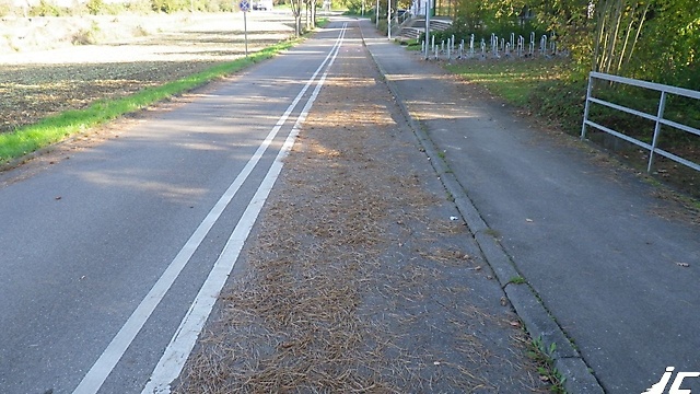 Bernhausen05