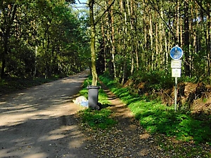 10_Bardowick-St. Dionys
