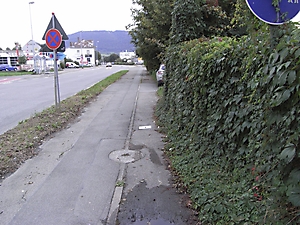 Metz_09