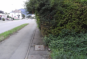 Metz_11